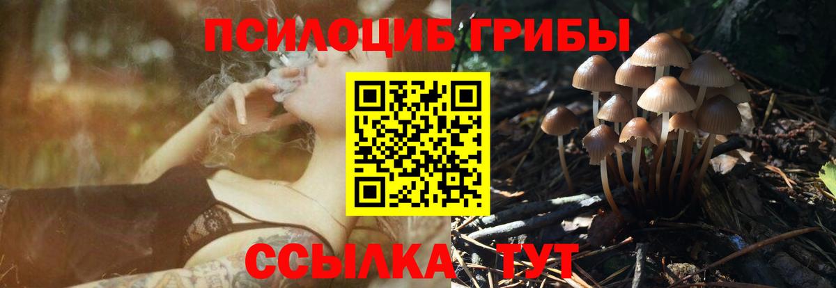 Галлюциногенные грибы ЛСД  Вход с VPN  Людиново 